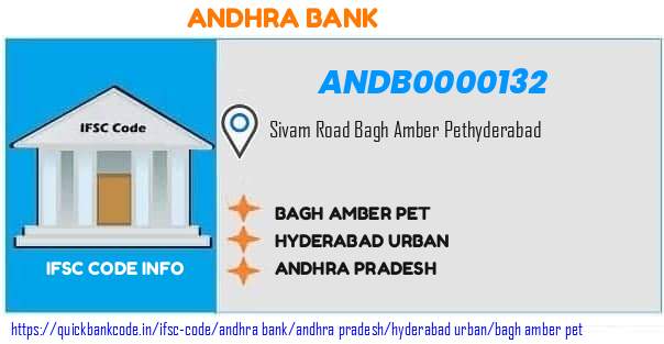 Andhra Bank Bagh Amber Pet ANDB0000132 IFSC Code