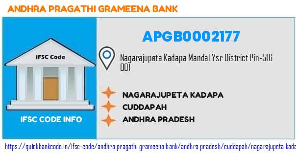 Andhra Pragathi Grameena Bank Nagarajupeta Kadapa APGB0002177 IFSC Code