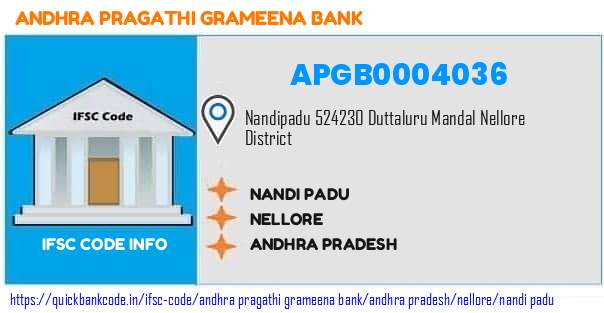 Andhra Pragathi Grameena Bank Nandi Padu APGB0004036 IFSC Code