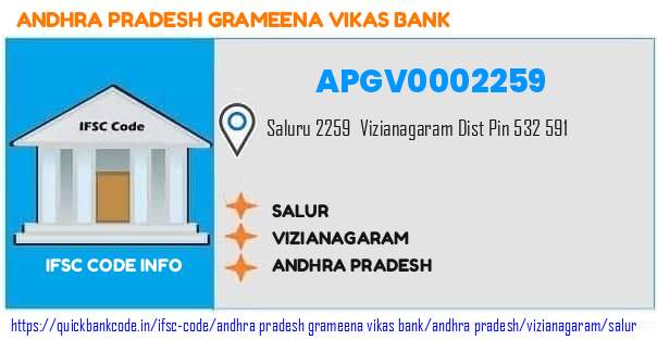 Andhra Pradesh Grameena Vikas Bank Salur APGV0002259 IFSC Code