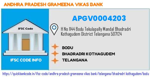 Andhra Pradesh Grameena Vikas Bank Bodu APGV0004203 IFSC Code