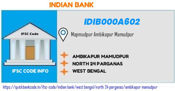 Indian Bank Ambikapur Mamudpur IDIB000A602 IFSC Code