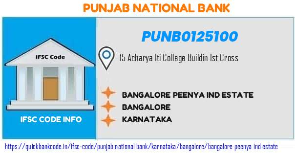 Punjab National Bank Bangalore Peenya Ind Estate PUNB0125100 IFSC Code