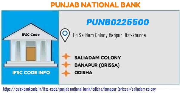 Punjab National Bank Saliadam Colony PUNB0225500 IFSC Code