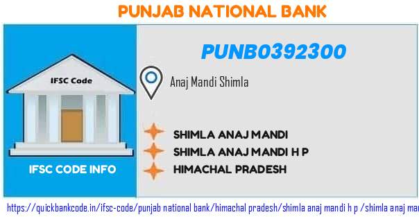 Punjab National Bank Shimla Anaj Mandi PUNB0392300 IFSC Code